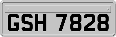 GSH7828