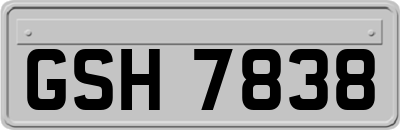 GSH7838
