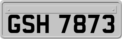GSH7873