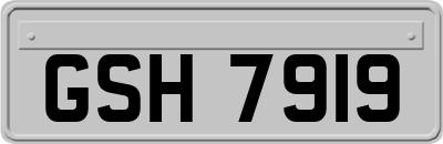 GSH7919
