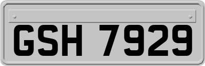 GSH7929