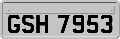GSH7953