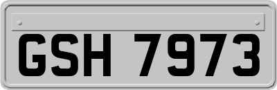 GSH7973