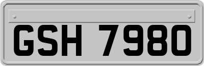 GSH7980