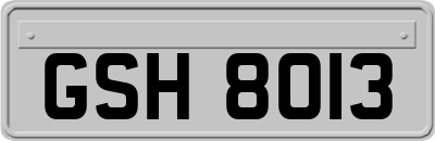 GSH8013