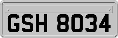 GSH8034