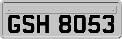 GSH8053