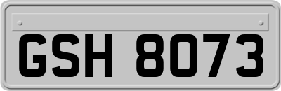 GSH8073