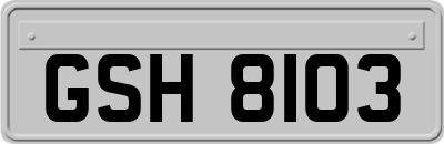 GSH8103