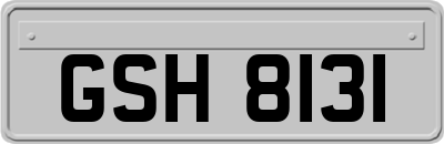 GSH8131