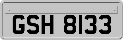 GSH8133
