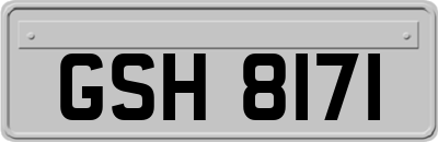 GSH8171