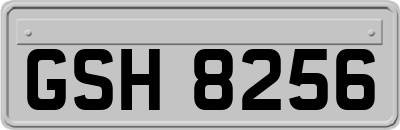 GSH8256