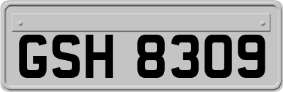 GSH8309