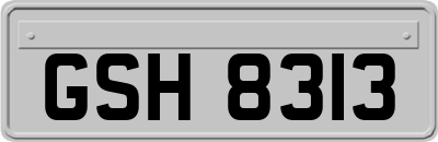 GSH8313
