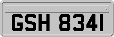 GSH8341