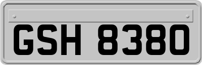 GSH8380