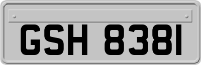GSH8381