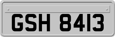 GSH8413