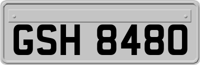 GSH8480