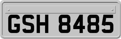 GSH8485