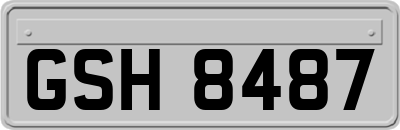 GSH8487