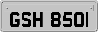 GSH8501