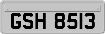 GSH8513