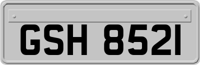 GSH8521