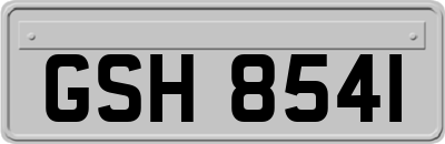 GSH8541