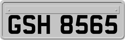 GSH8565