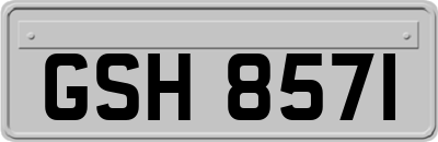 GSH8571
