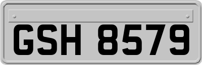 GSH8579