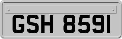 GSH8591