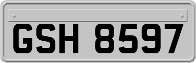 GSH8597