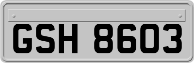GSH8603