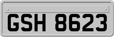 GSH8623