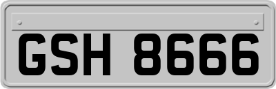 GSH8666