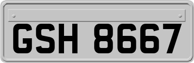 GSH8667