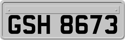 GSH8673