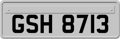 GSH8713