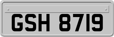 GSH8719