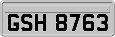 GSH8763