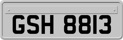 GSH8813