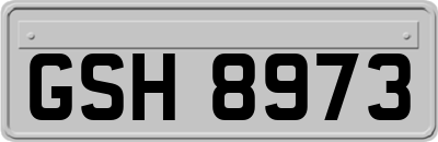GSH8973