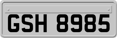GSH8985