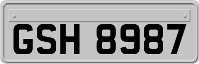GSH8987
