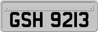 GSH9213