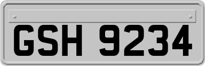 GSH9234