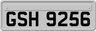 GSH9256